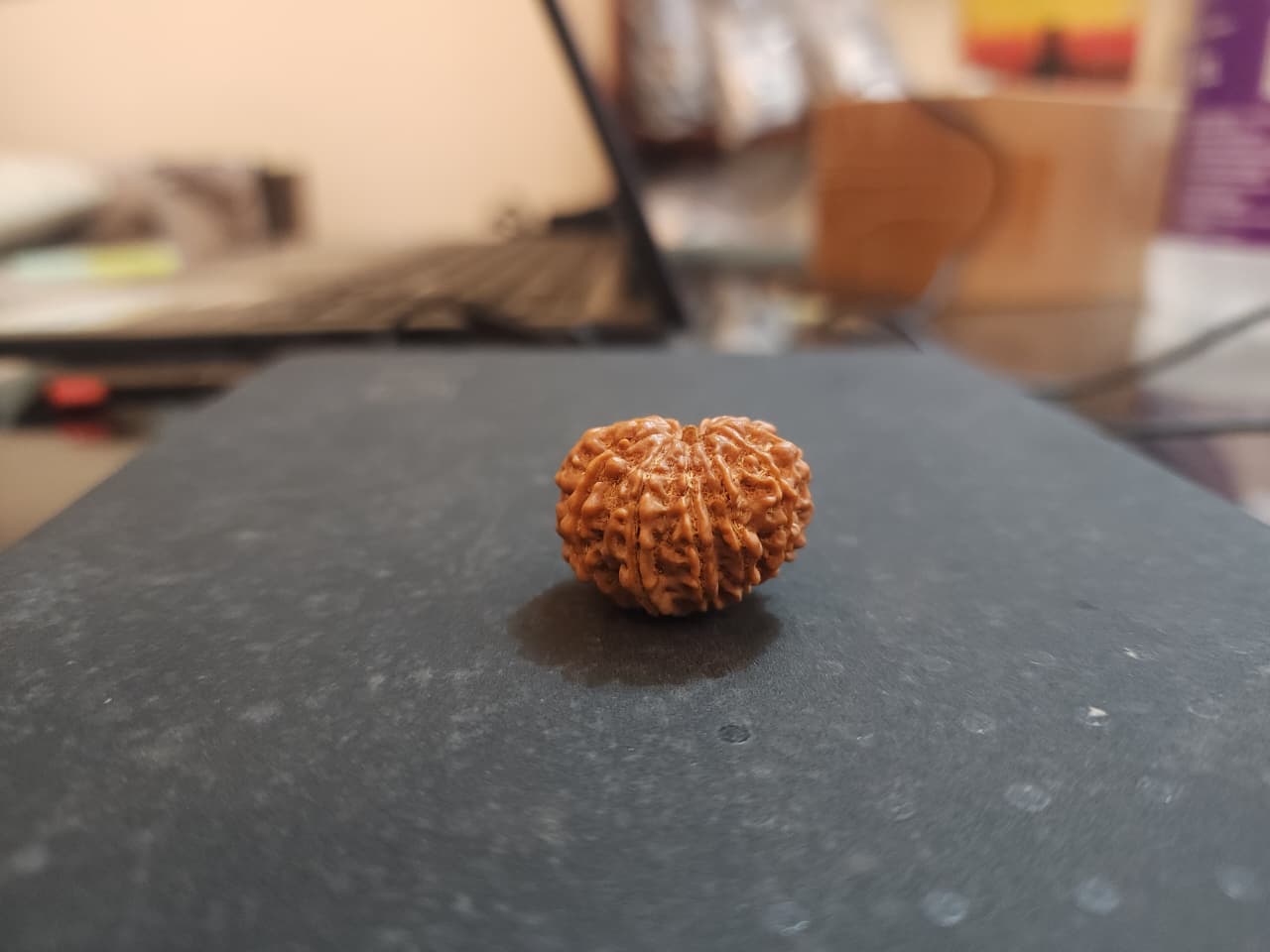 12 Mukhi Nepali Rudraksha image 3