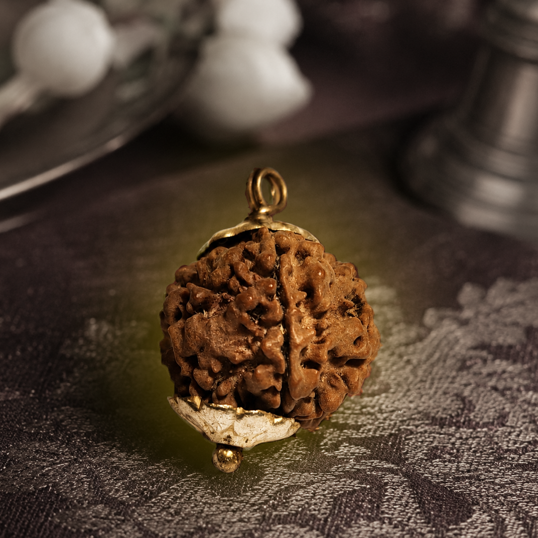 2 Mukhi Nepali Rudraksha (round) image 2