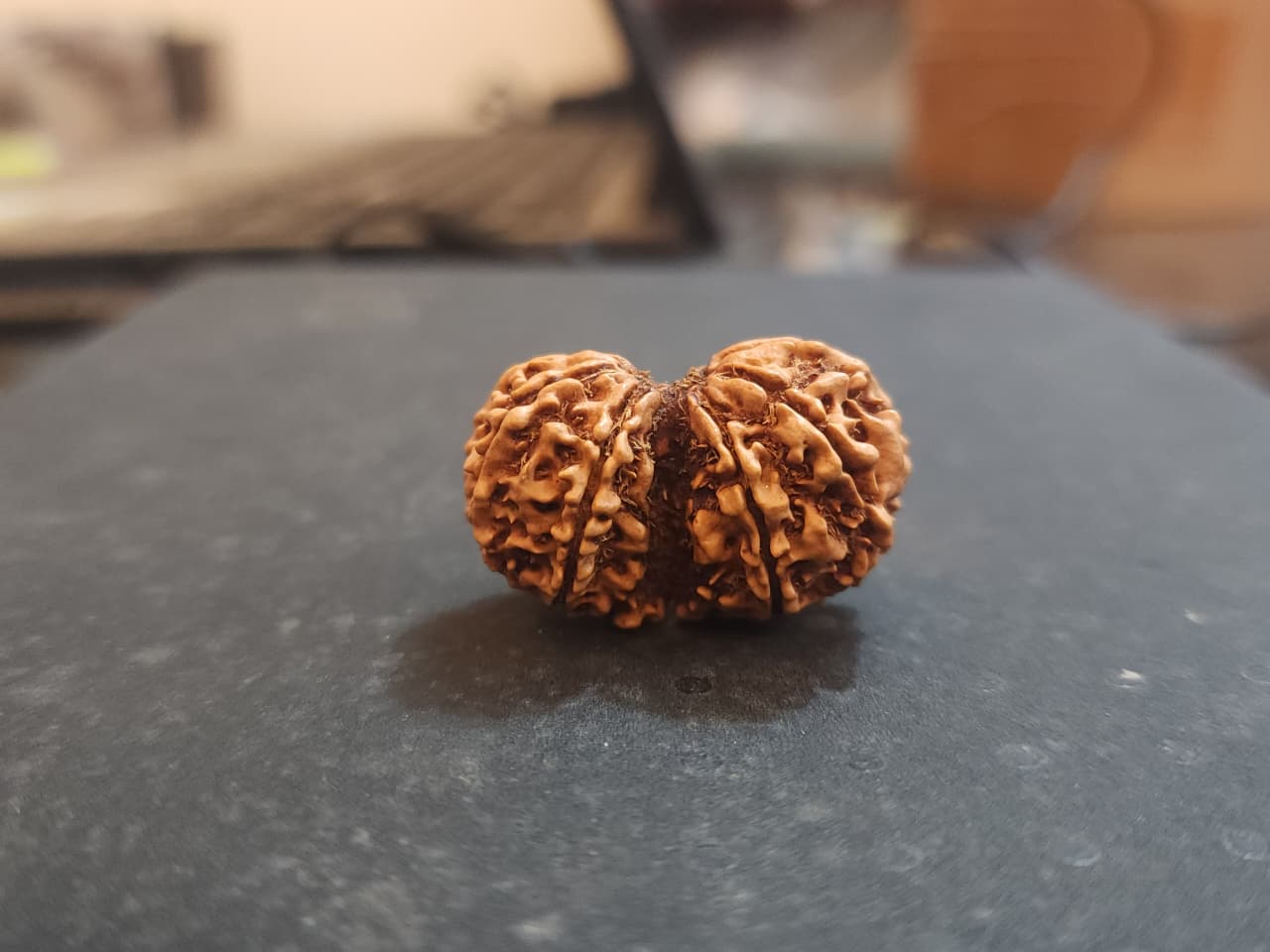 Gauri Shanke   Nepali Rudraksha image 3