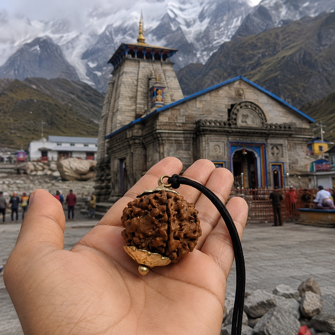 2 Mukhi Nepali Rudraksha (round) image 4
