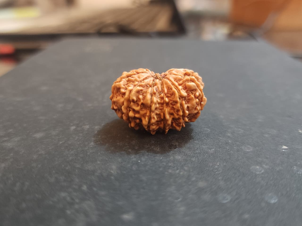 13 Mukhi Nepali Rudraksha