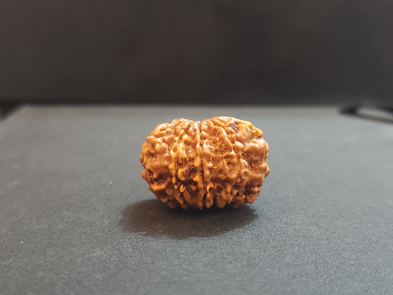 9 Mukhi Nepali Rudraksha image 3