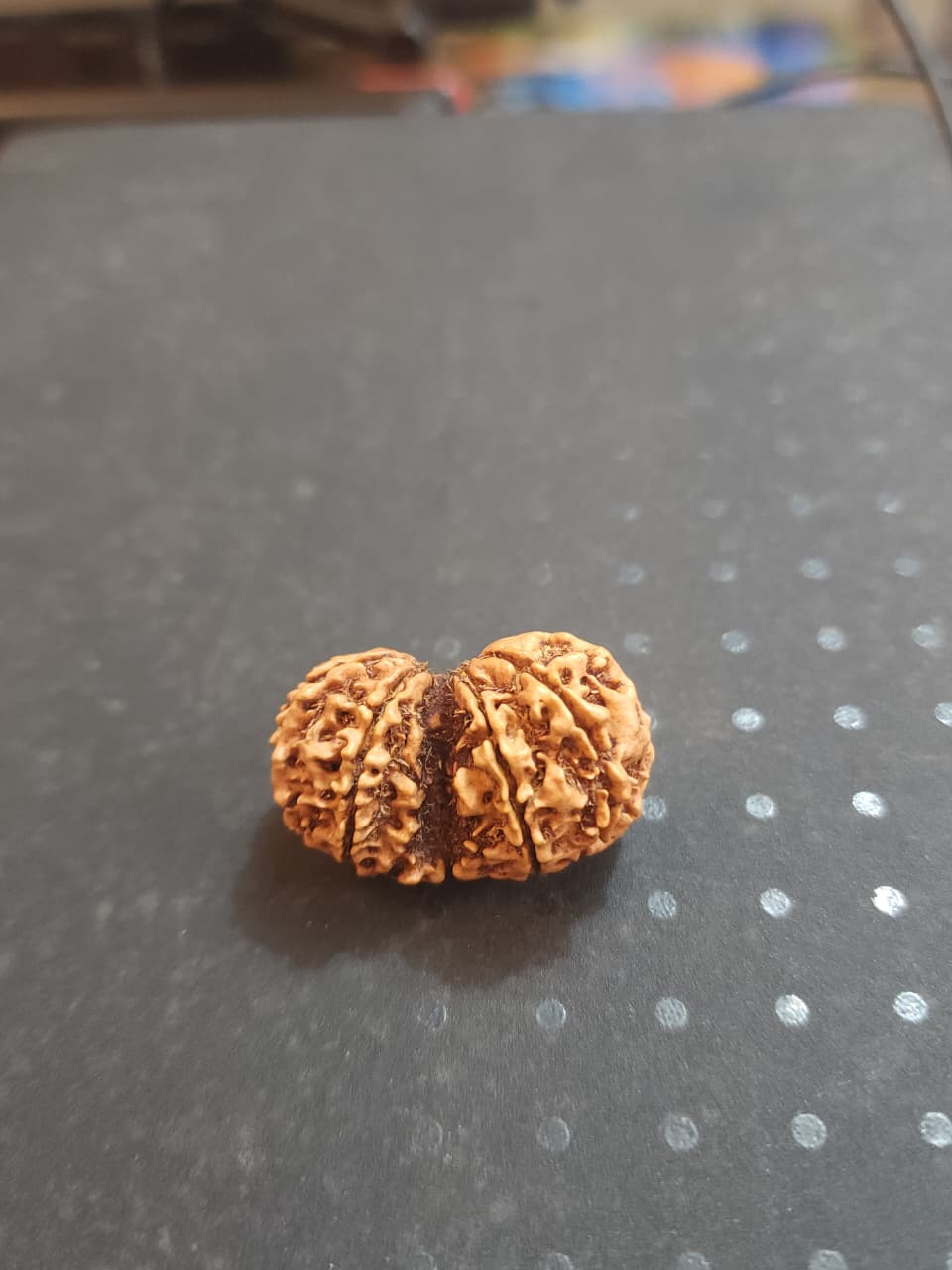 Gauri Shanke   Nepali Rudraksha image 4