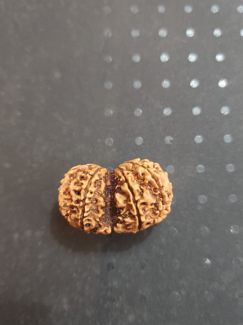 Gauri Shanke   Nepali Rudraksha