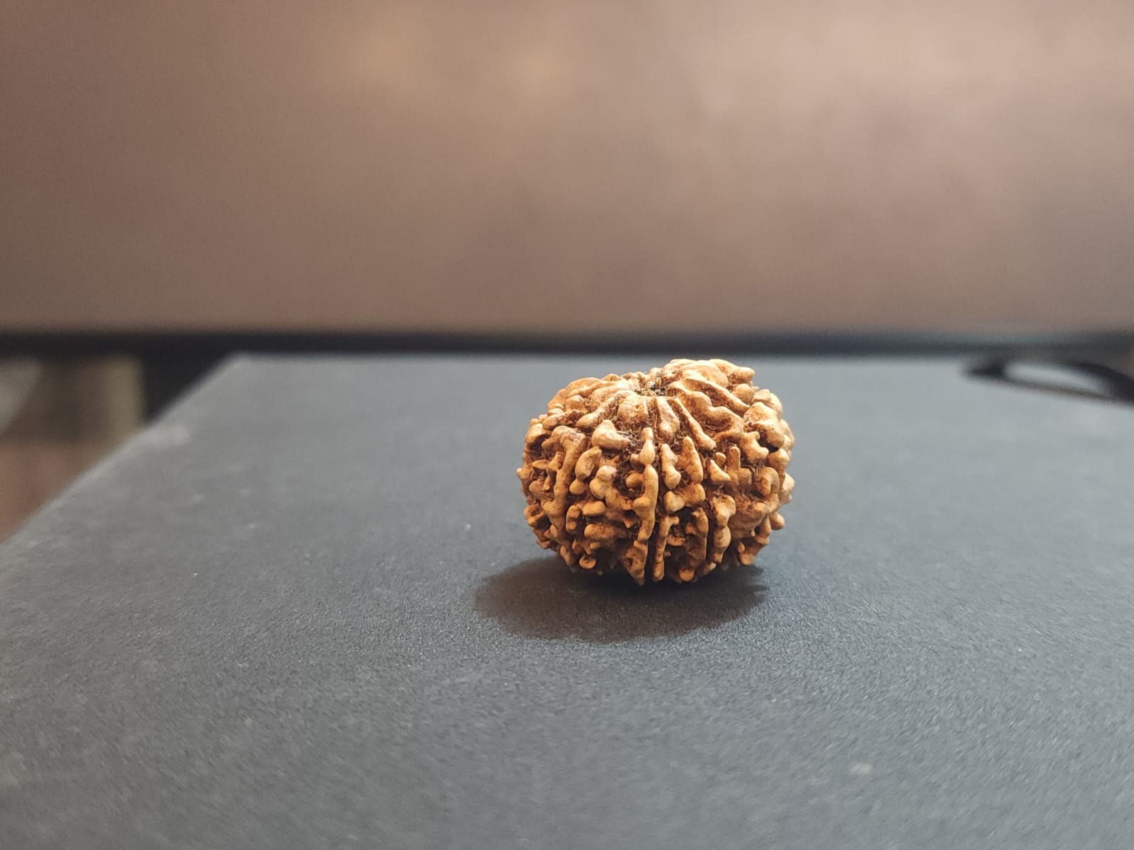 8 Mukhi Nepali Rudraksha image 3