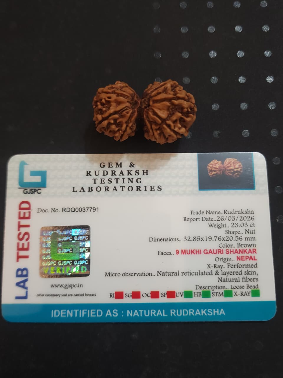 Gauri Shanke   Nepali Rudraksha image 2