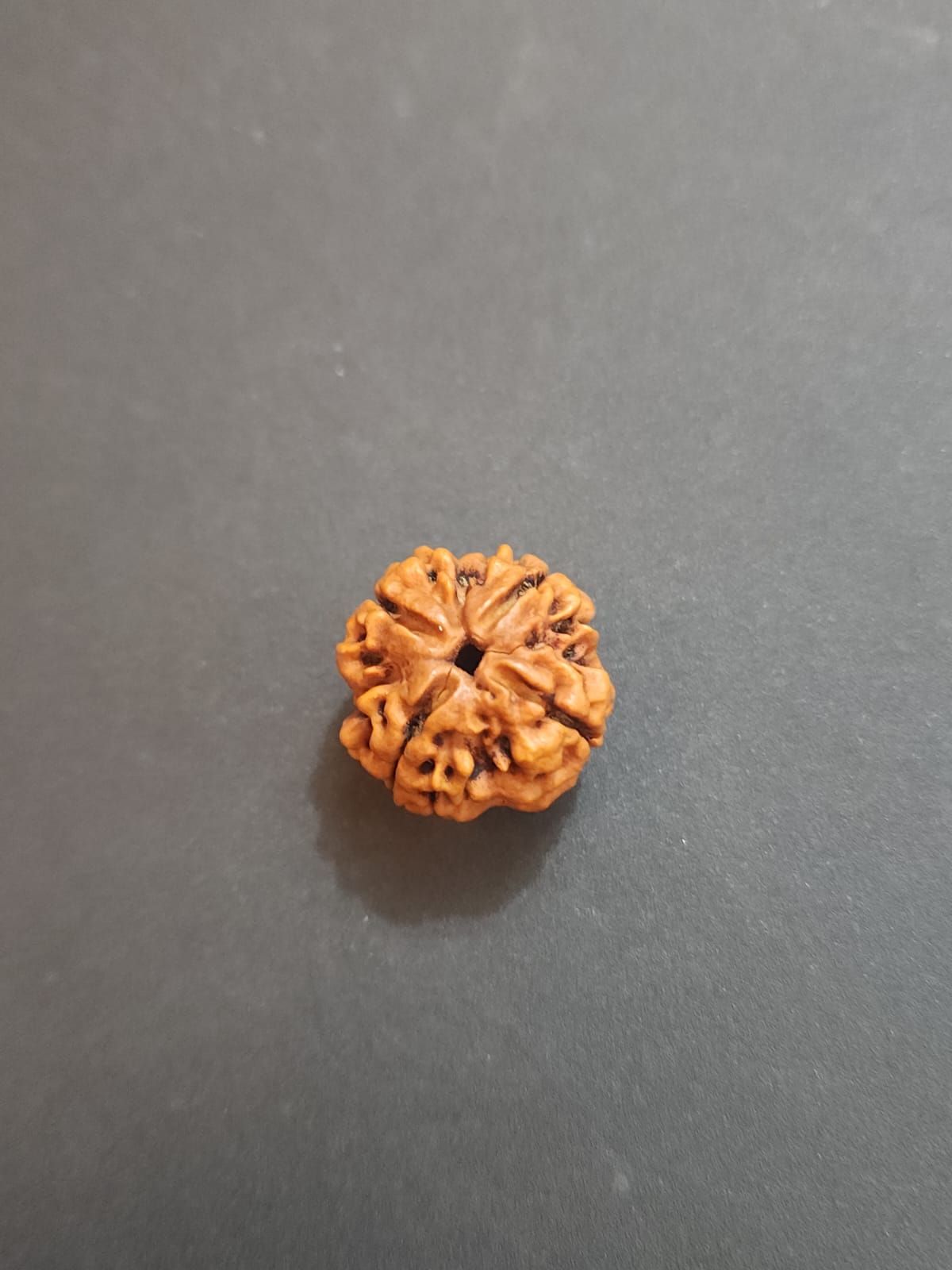 4 Mukhi Nepali Rudraksha