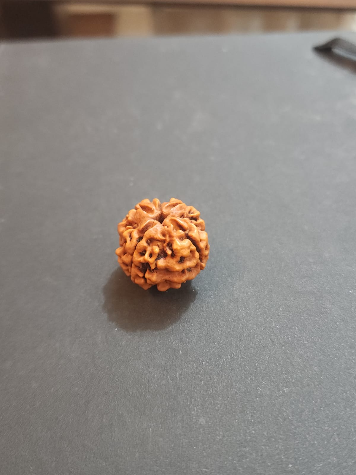 4 Mukhi Nepali Rudraksha image 4