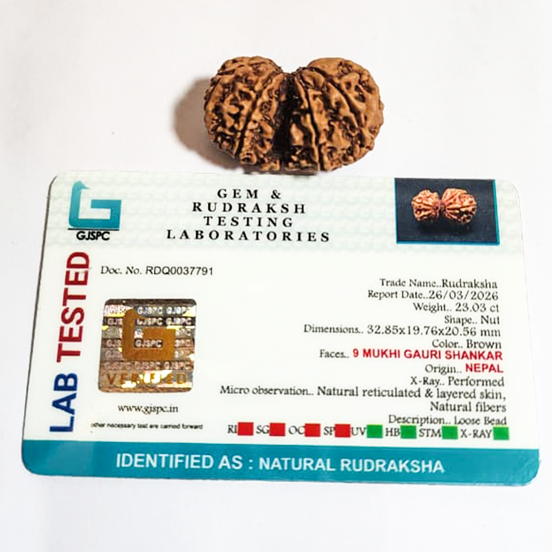 Gauri Shanke   Nepali Rudraksha image 2