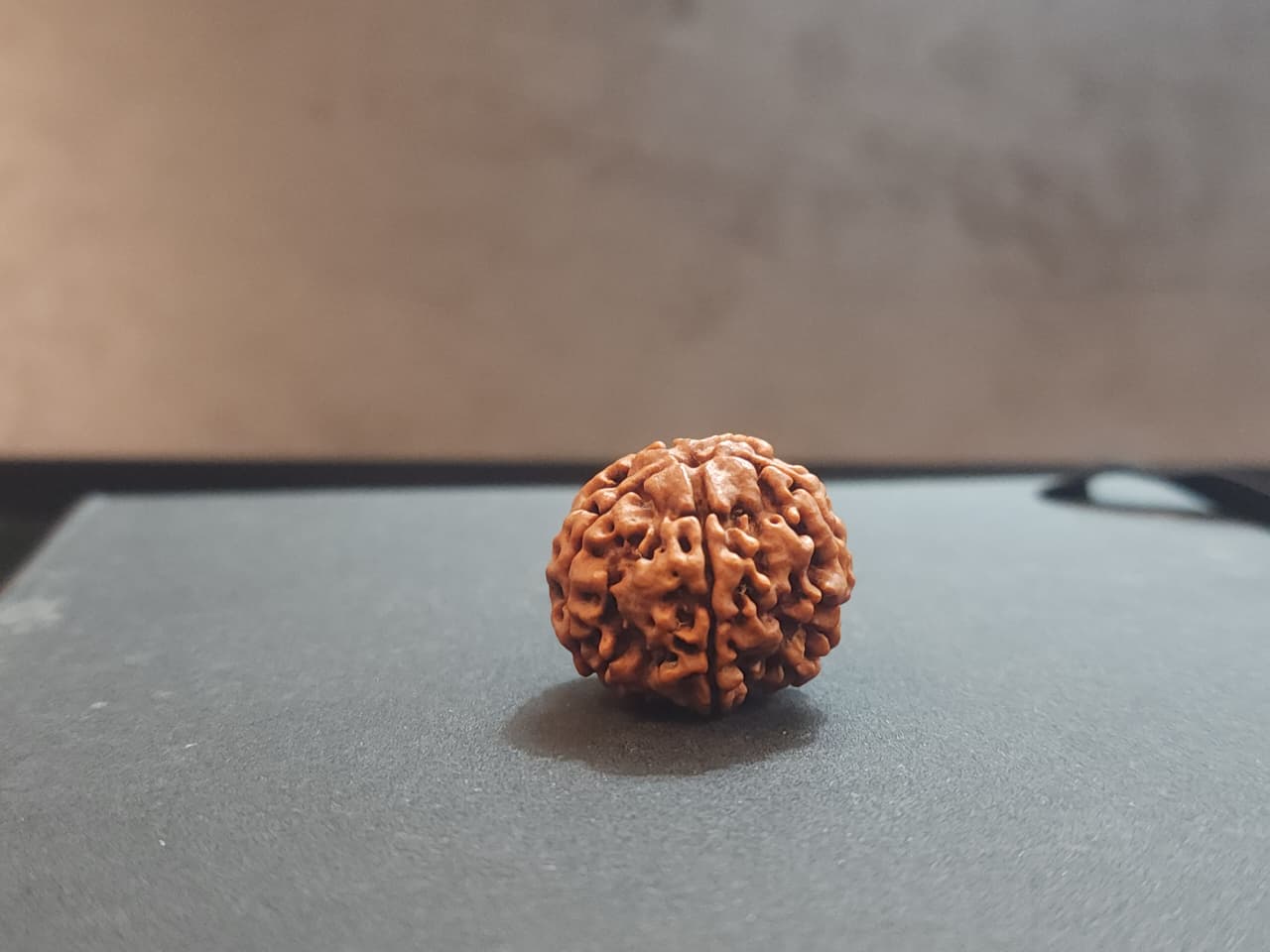 5 Mukhi Nepali Rudraksha image 3