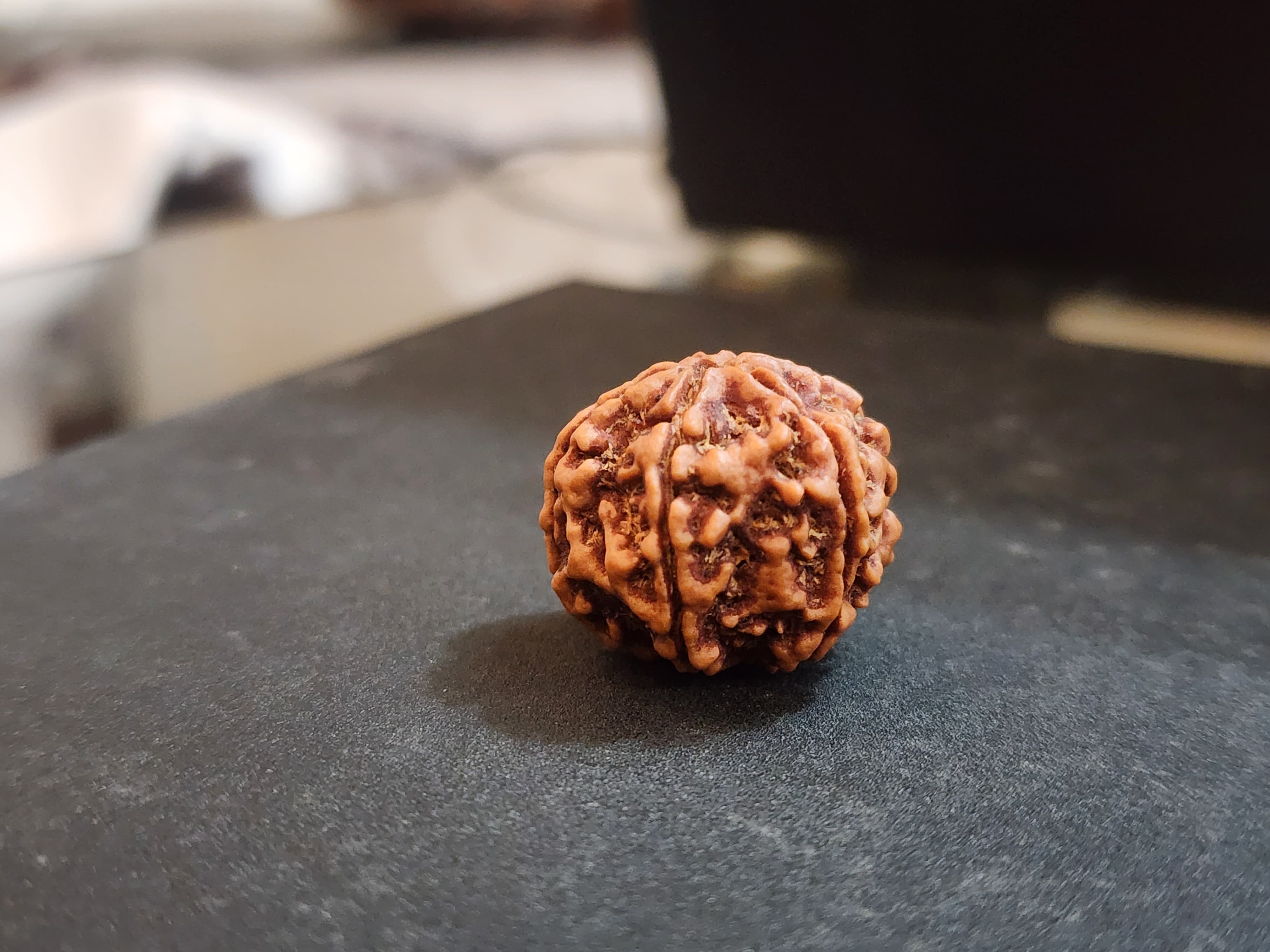 6 Mukhi Nepali Rudraksha image 5