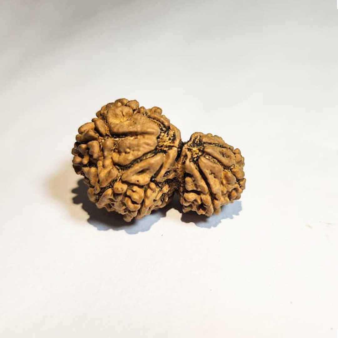 garbh gauri