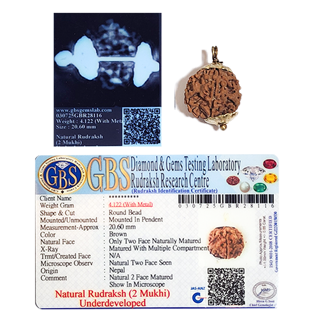 2 Mukhi Nepali Rudraksha (round) image 3