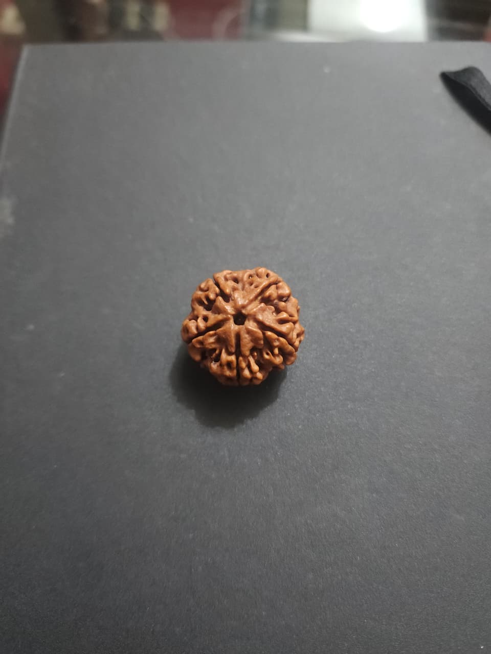 5 Mukhi Nepali Rudraksha image 5