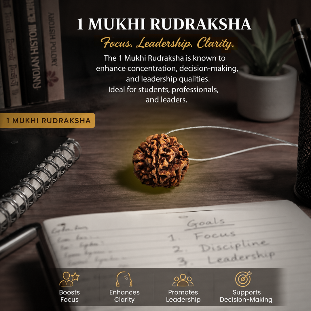 1 Mukhi Nepali Rudraksha (round) image 3