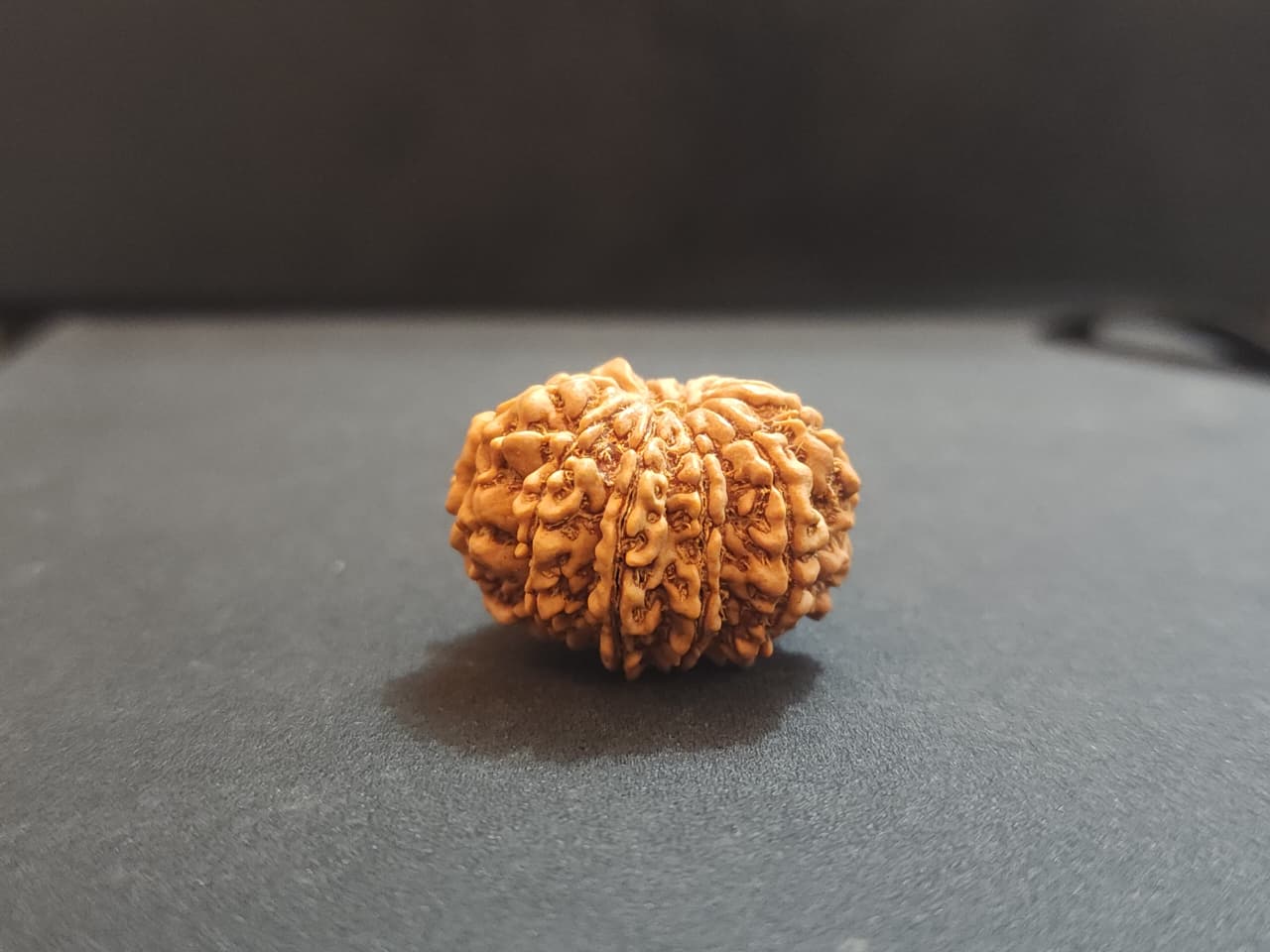 10 Mukhi Nepali Rudraksha image 2