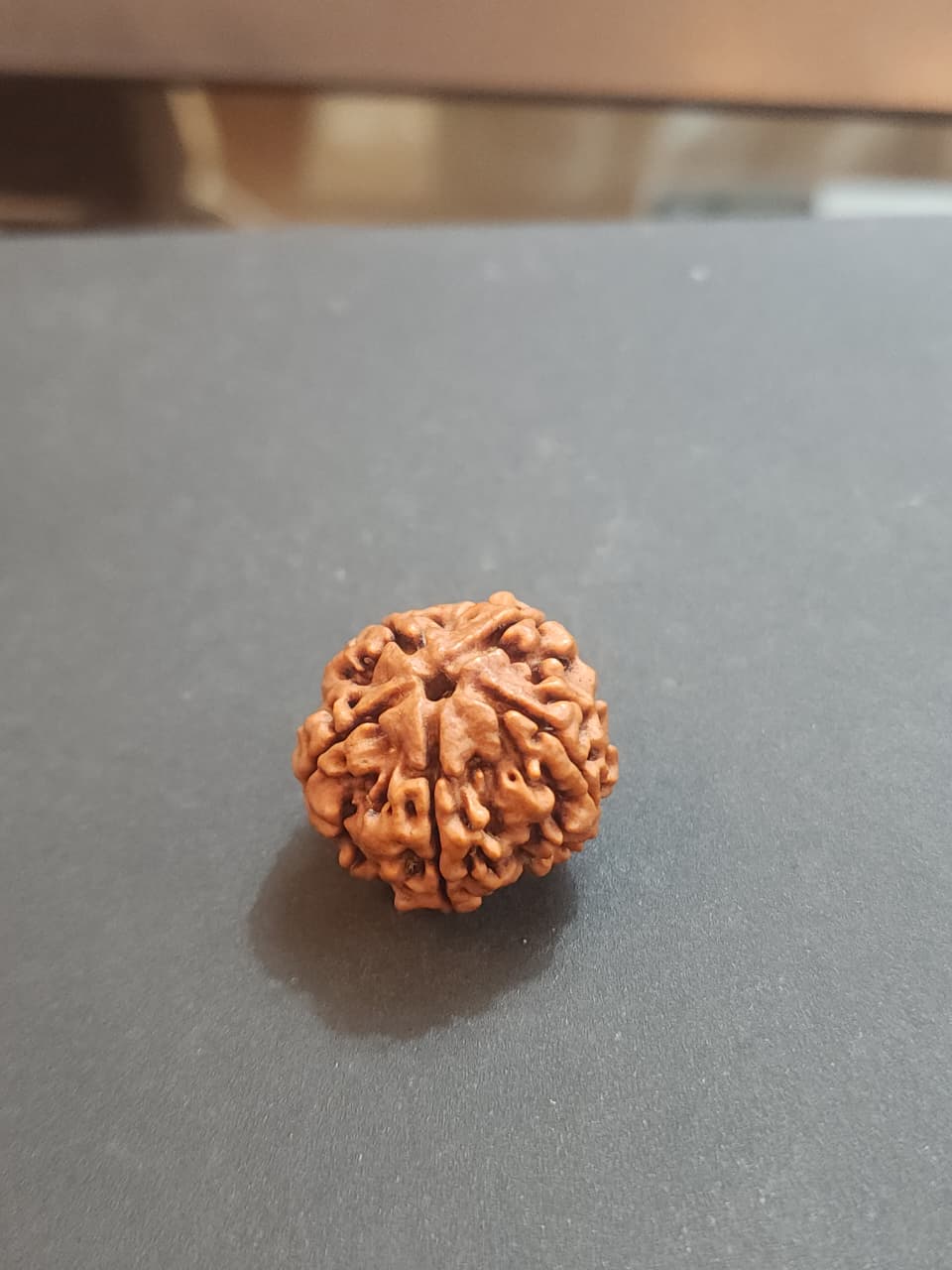 5 Mukhi Nepali Rudraksha image 4