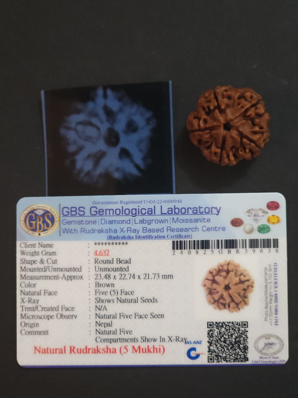 5 Mukhi Nepali Rudraksha image 2