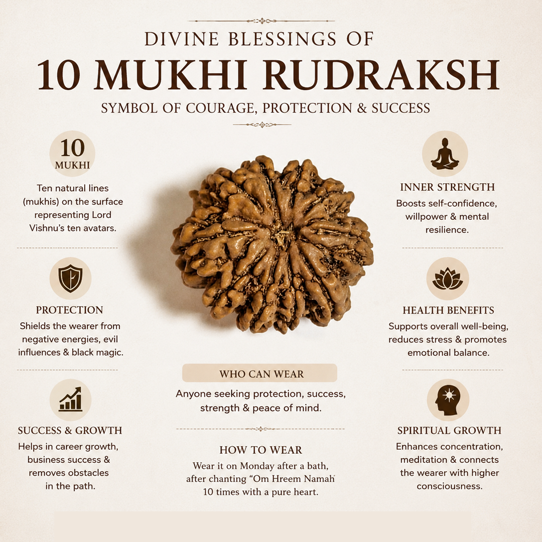 10 Mukhi Nepali Rudraksha image 4