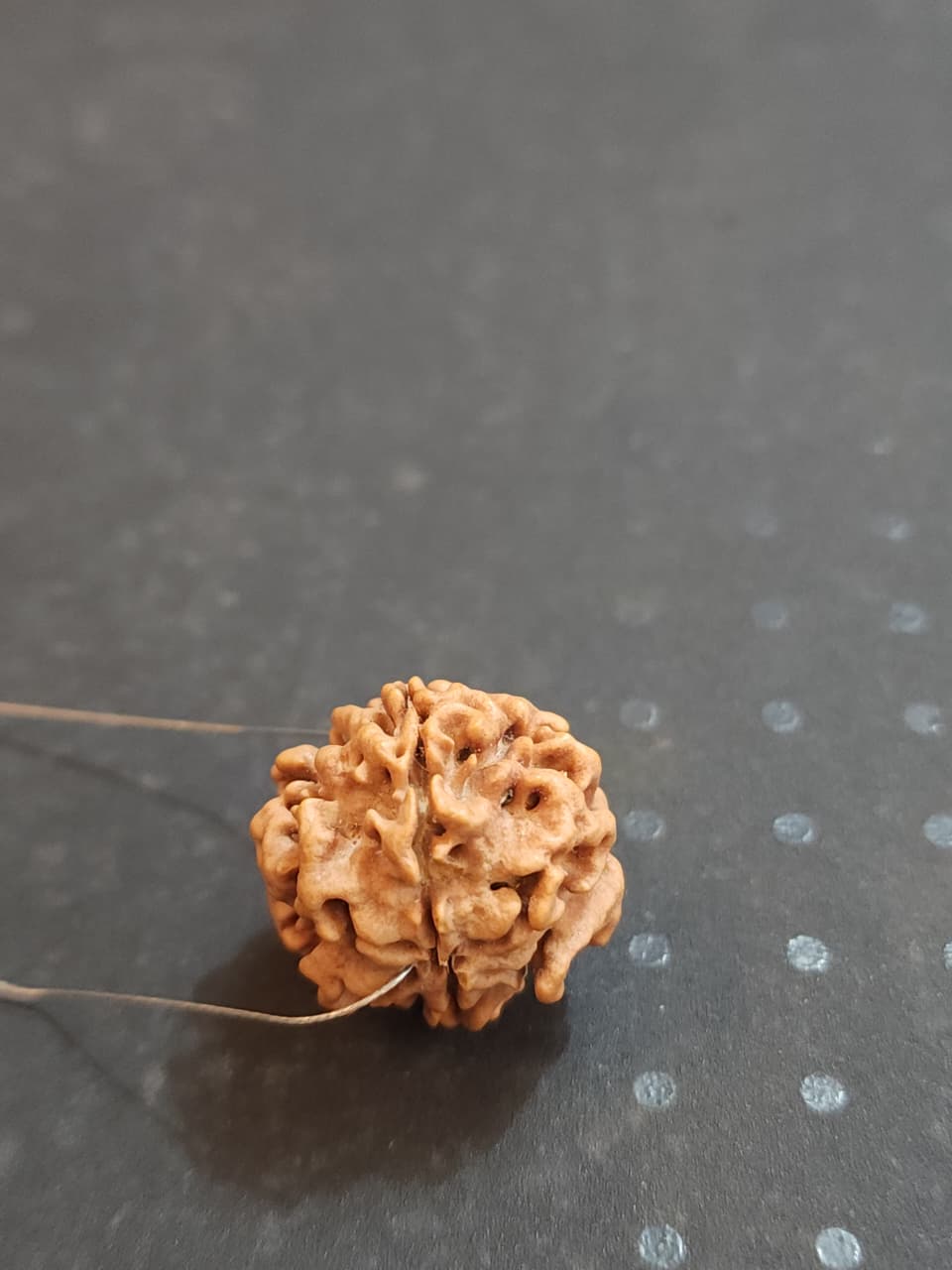 1 Mukhi Nepali Rudraksha (round) image 3