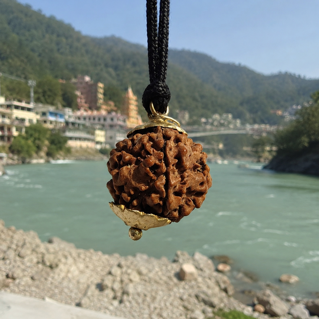 2 Mukhi Nepali Rudraksha (round) image 5
