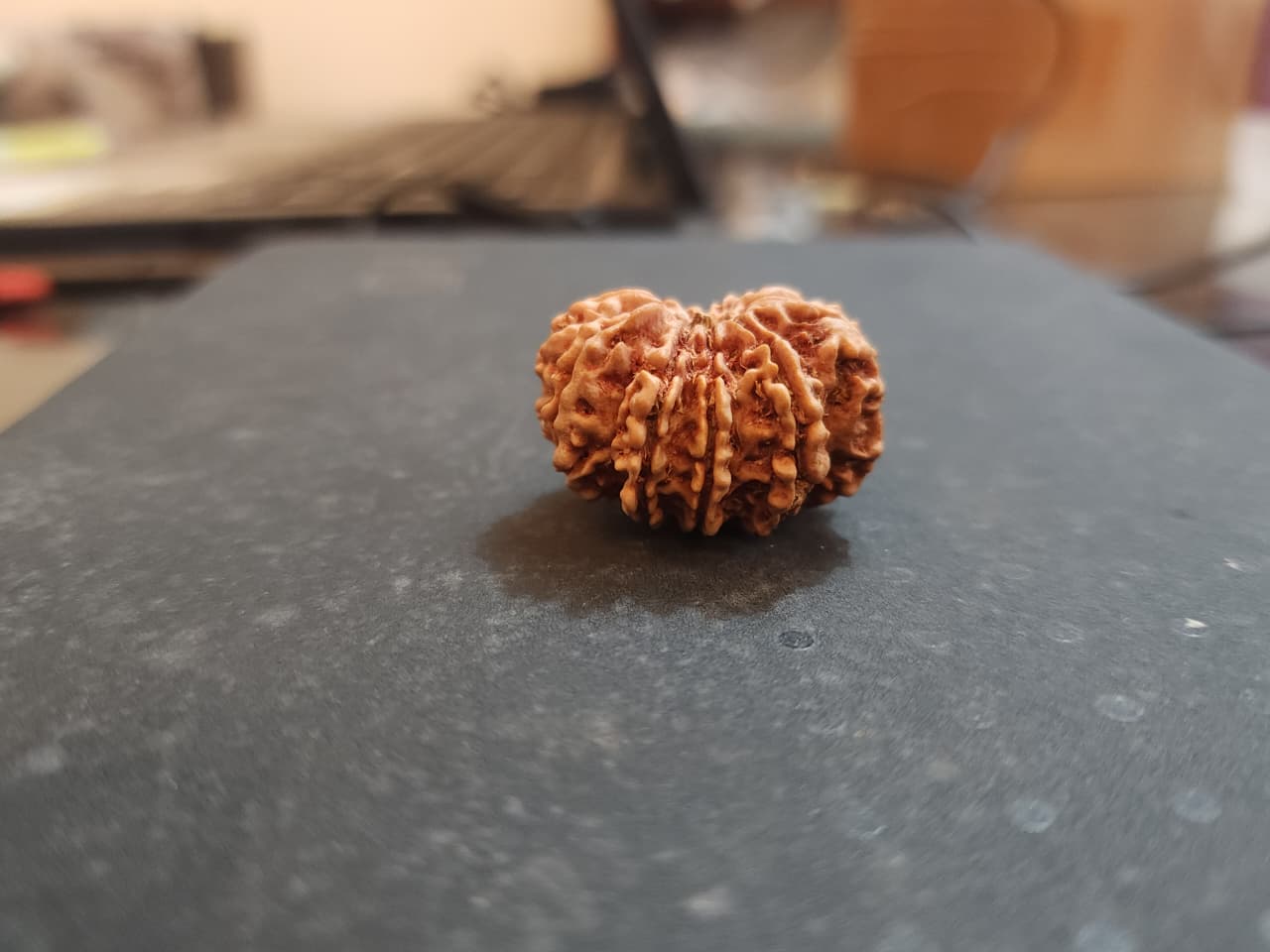 11 Mukhi Nepali Rudraksha