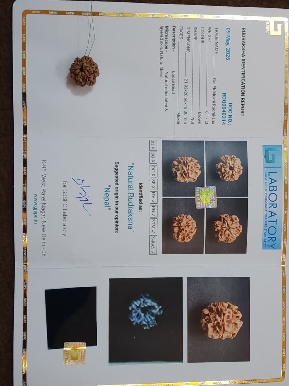 1 Mukhi Nepali Rudraksha (round) image 2