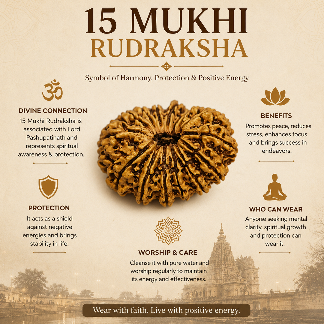 15 Mukhi Nepali Rudraksha image 4