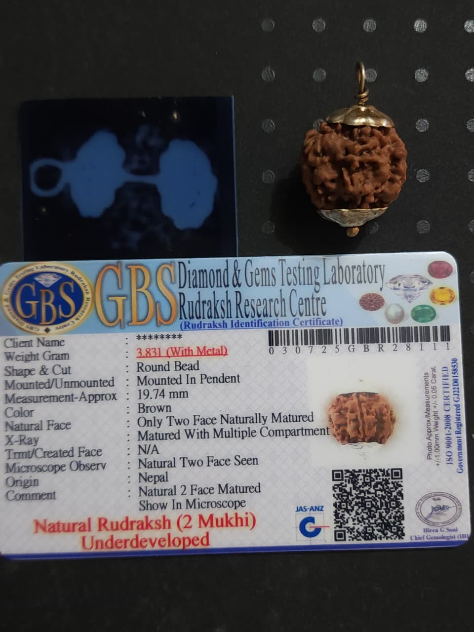3 Mukhi Nepali Rudraksha