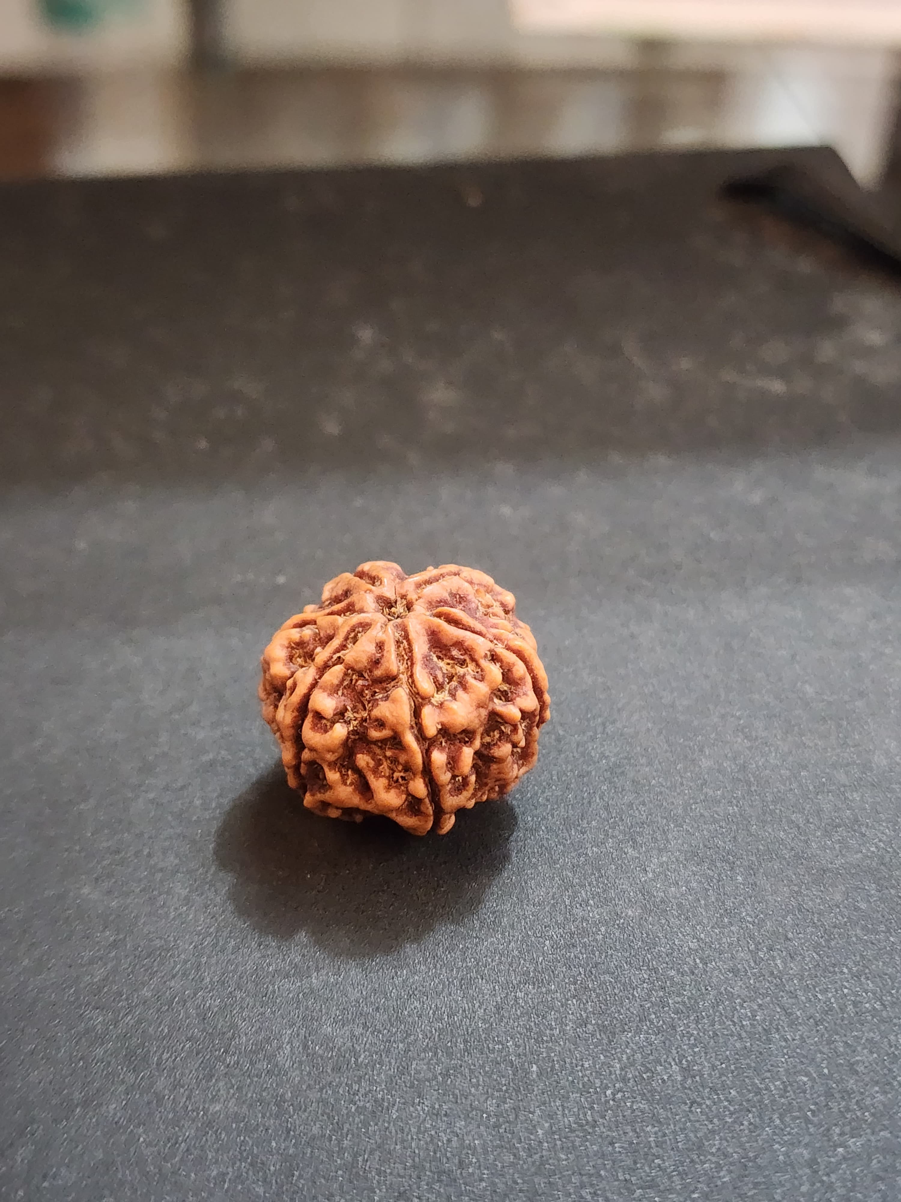 6 Mukhi Nepali Rudraksha image 4