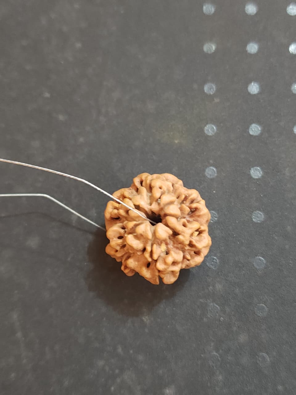 1 Mukhi Nepali Rudraksha (round) image 4