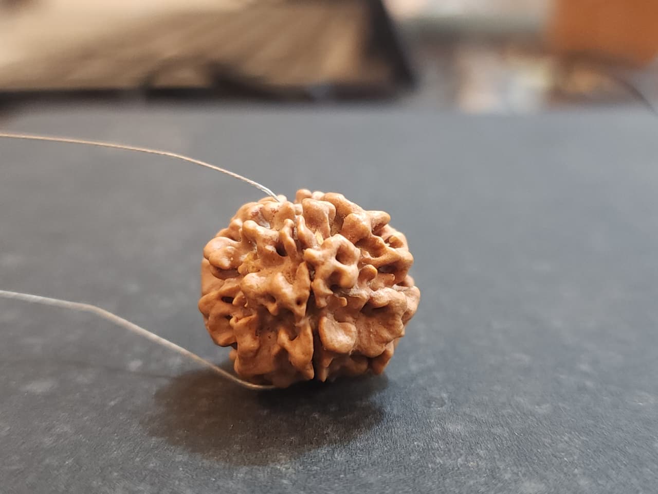 1 Mukhi Nepali Rudraksha (round)
